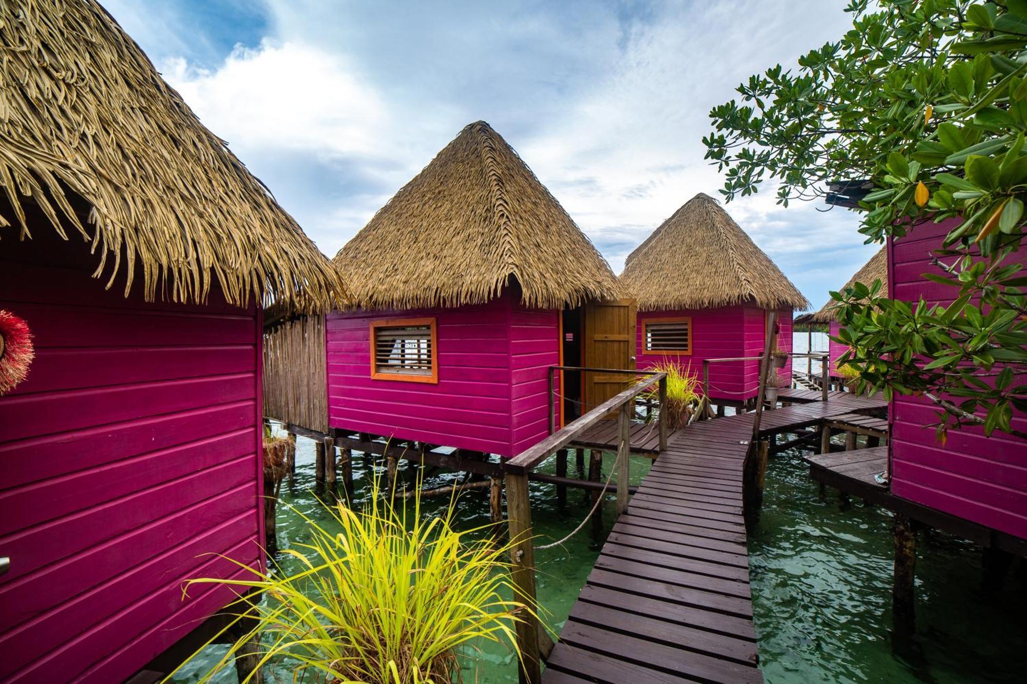 Urraca Monkey Island Eco Resort (Adults Only) Пунта-Лаурель Экстерьер фото