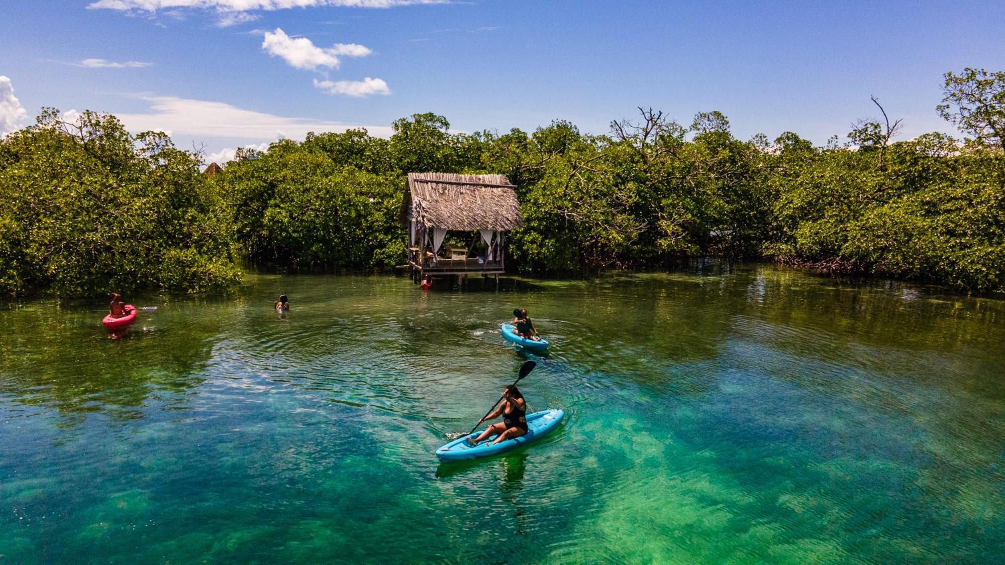 Urraca Monkey Island Eco Resort (Adults Only) Пунта-Лаурель Экстерьер фото